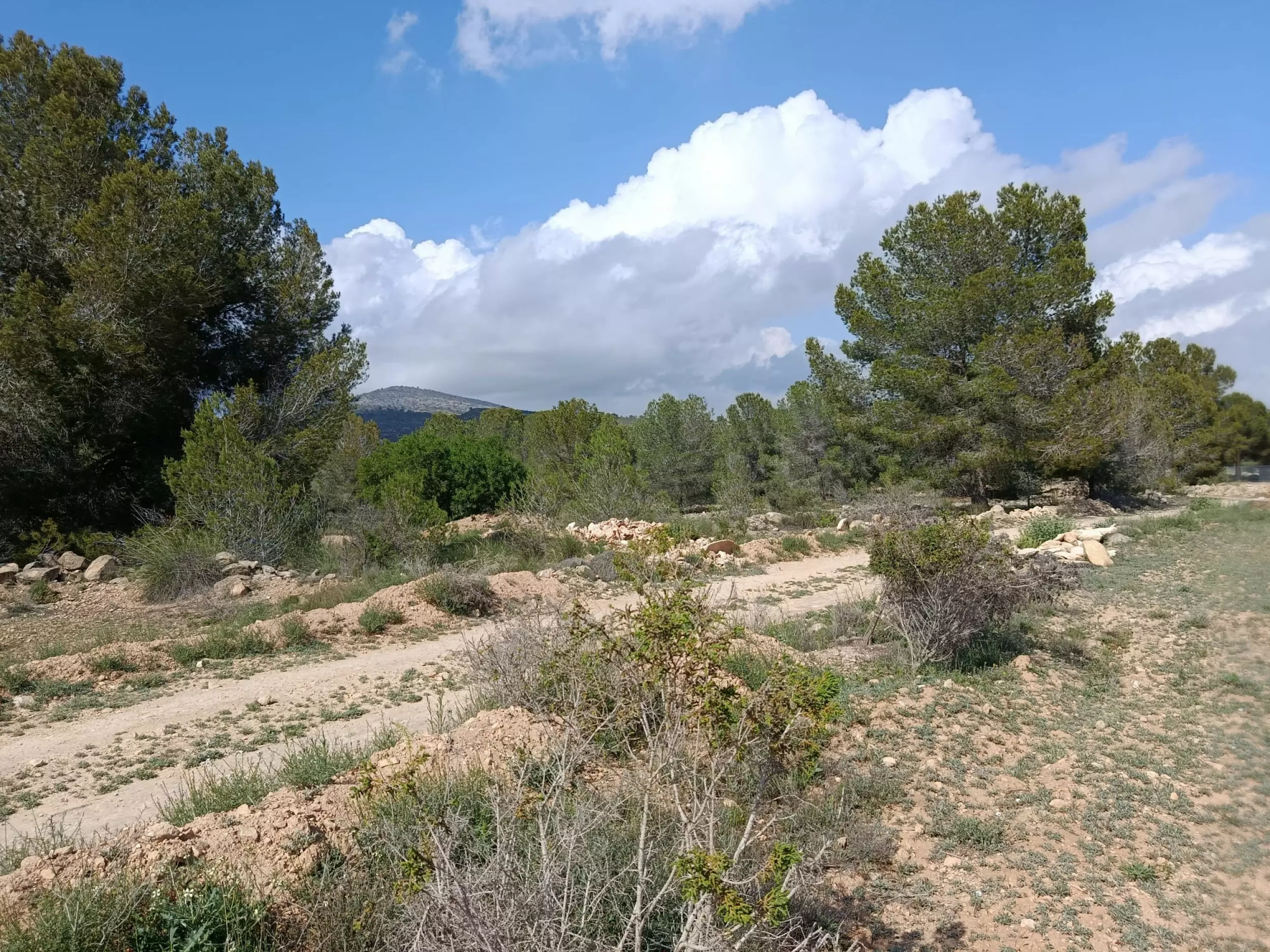 Land 0 M² In Monovar, Spain
