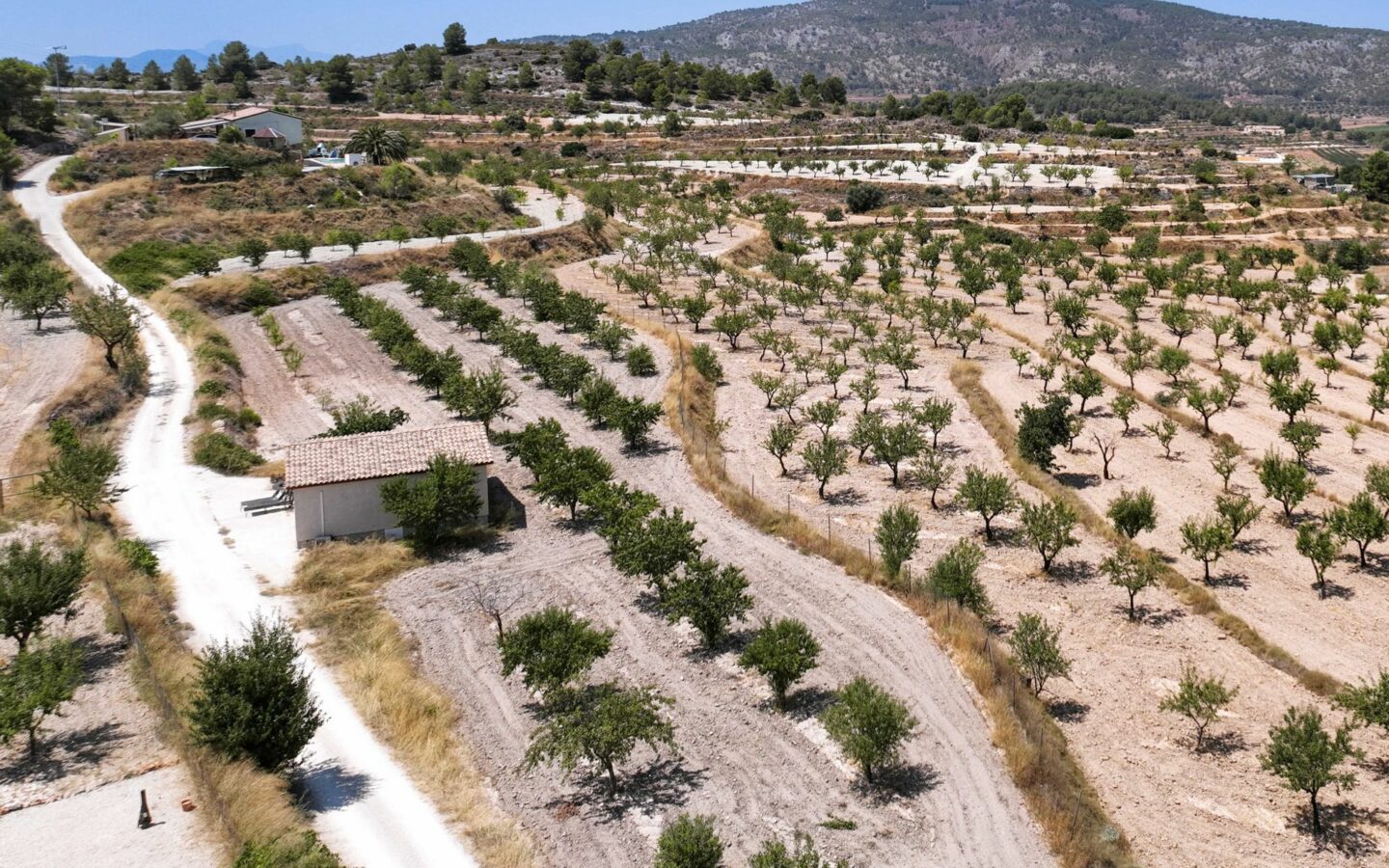 Country House 366 M² In Pinoso, Spain