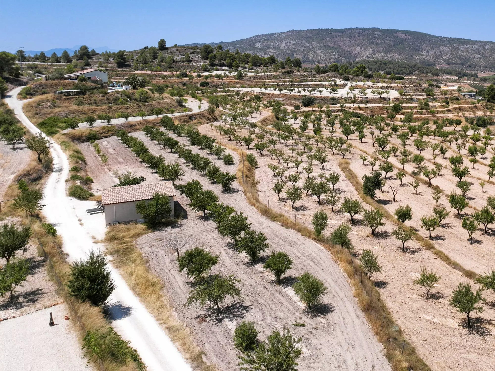 Country House 366 M² In Pinoso, Spain