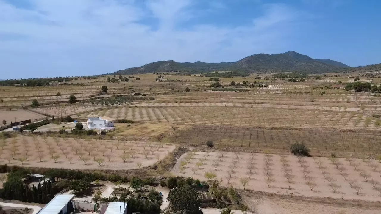 Detached Villa 344 M² In Pinoso, Spain