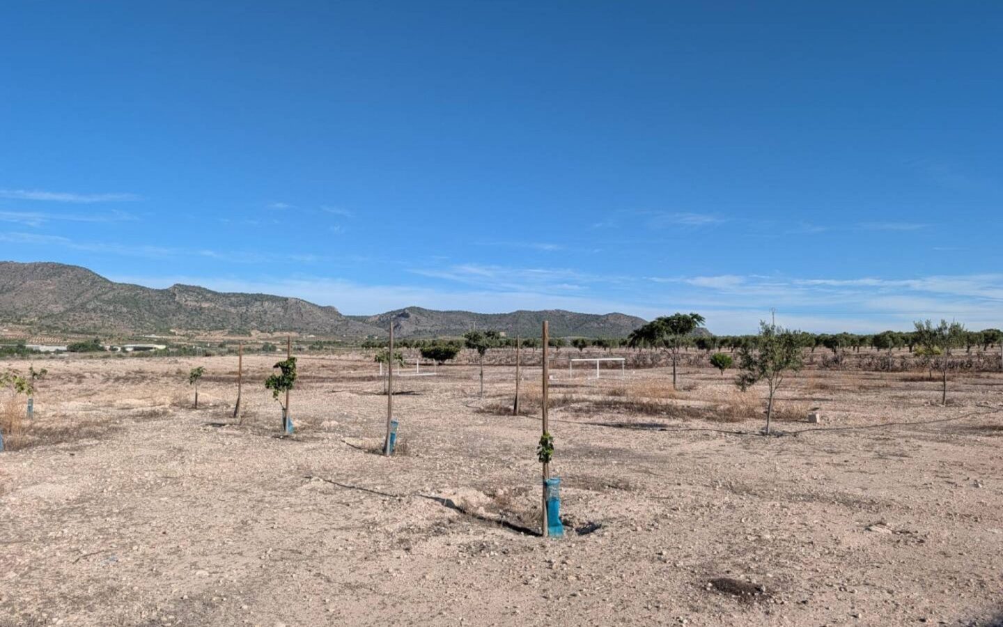 Country House 280 M² In Salinas, Spain