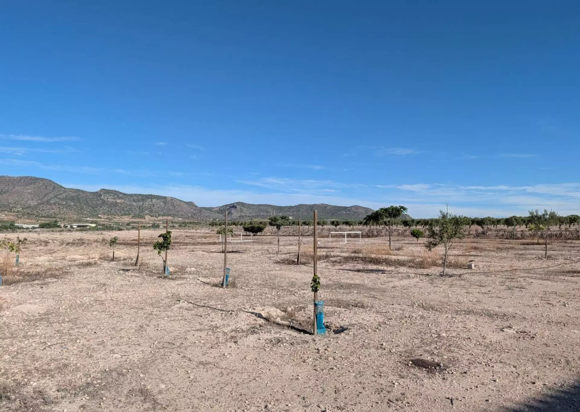 Country House 280 M² In Salinas, Spain