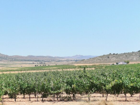 11-bedroom Country House In Yecla, Spain (25.000 M²)