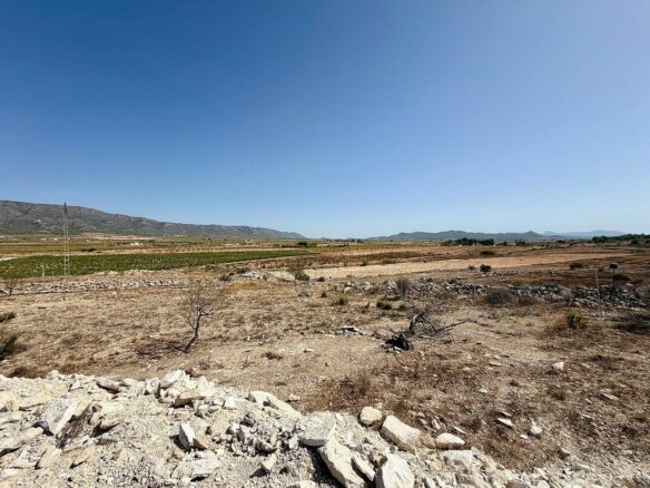 Land 0 M² In Lel, Spain