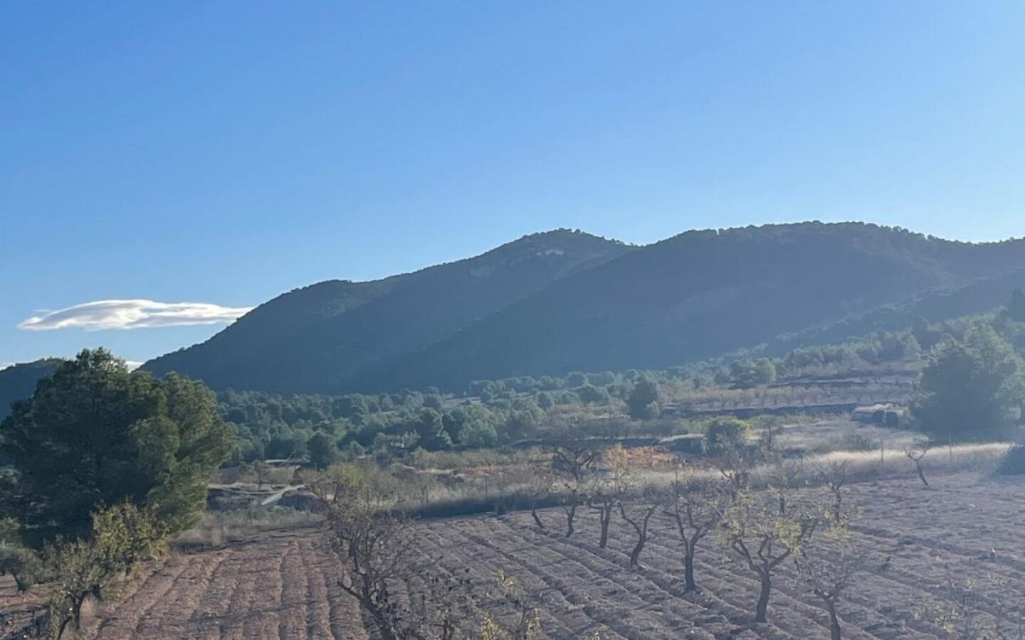Detached Villa 453 M² In Pinoso, Spain