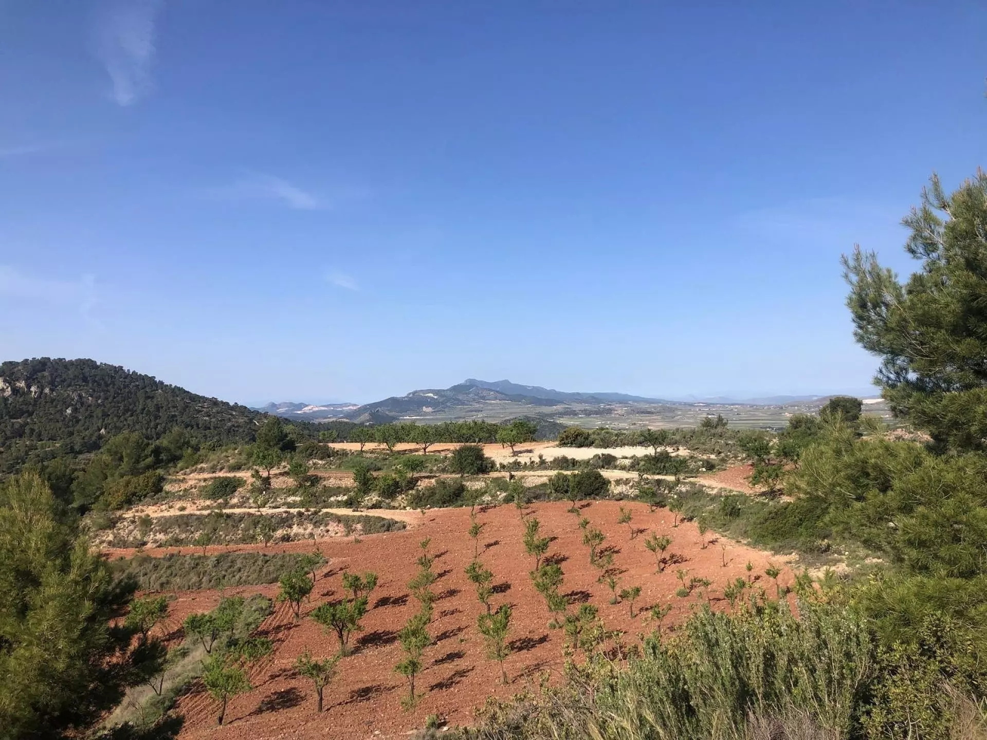 Detached Villa 453 M² In Pinoso, Spain