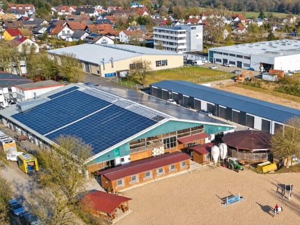 Miscellaneous In Bad Säckingen