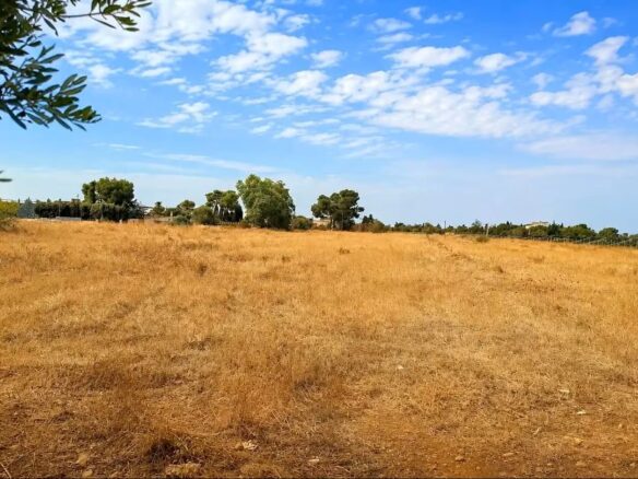 Land In Santa Maria Del Cami, Spain