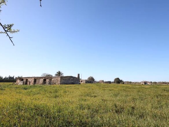 Land 87 M² In Binissalem, Spain