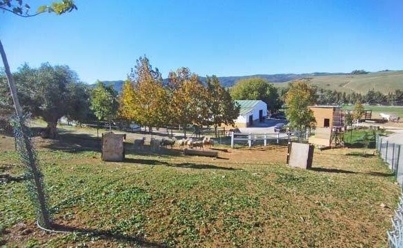 Property 150 M² In Jimena De La Frontera, Andalusien