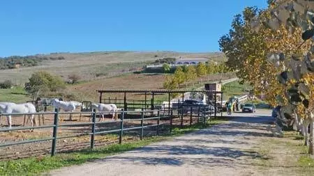 Property 150 M² In Jimena De La Frontera, Andalusien