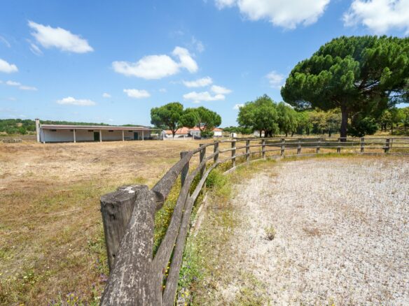 6-bedroom Property In Couco, Portugal (250 M²)