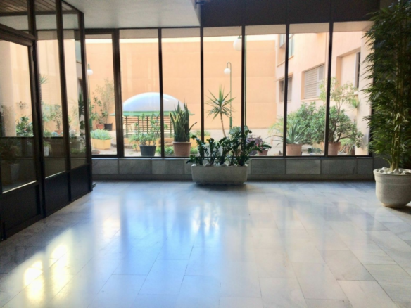 1-bedroom Office In Elche, Spain (40 M²)