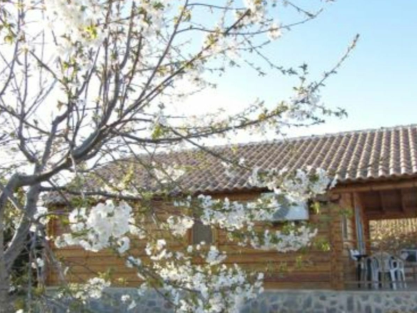 6-bedroom Villa In Moratalla, Spain (220 M²)