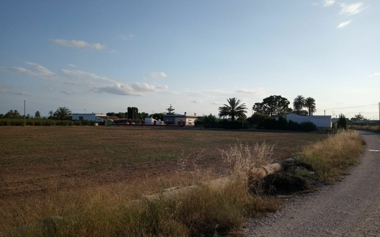 Land In Elche, Spain (5.700 M² Plot)