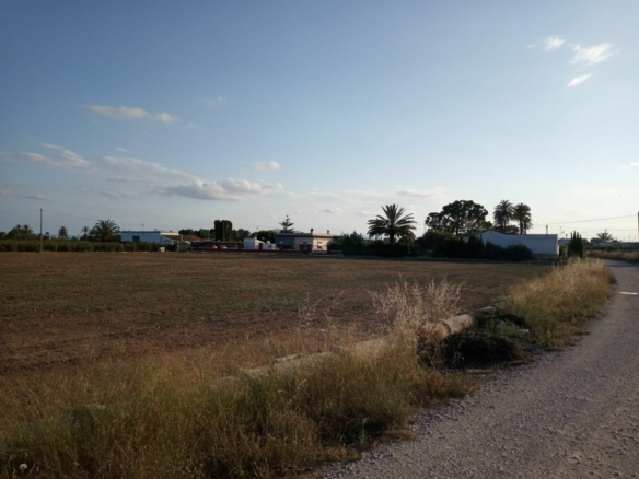 Land In Elche, Spain (5.700 M² Plot)