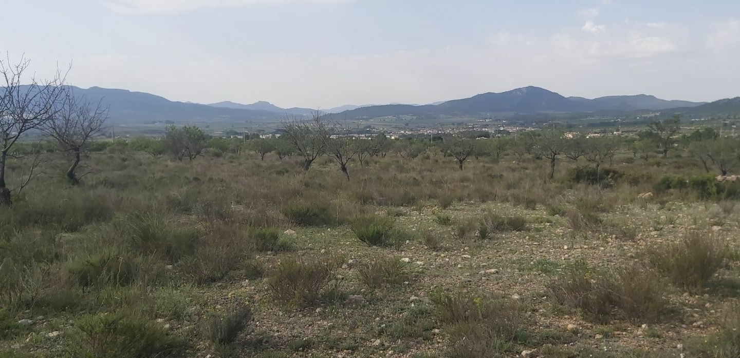 Land In Salinas, Spain (11.035 M² Plot)
