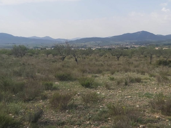 Land In Salinas, Spain (11.035 M² Plot)