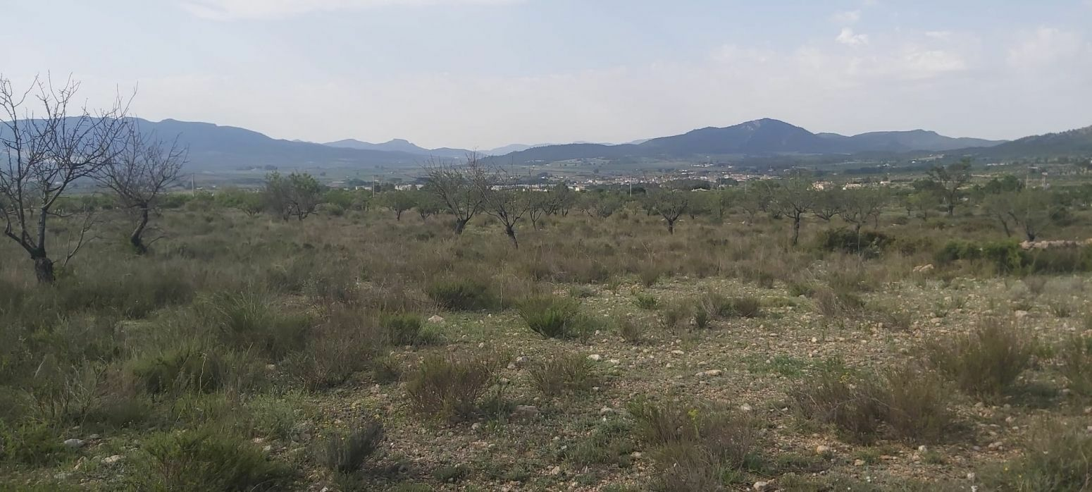 Land In Salinas, Spain (11.035 M² Plot)