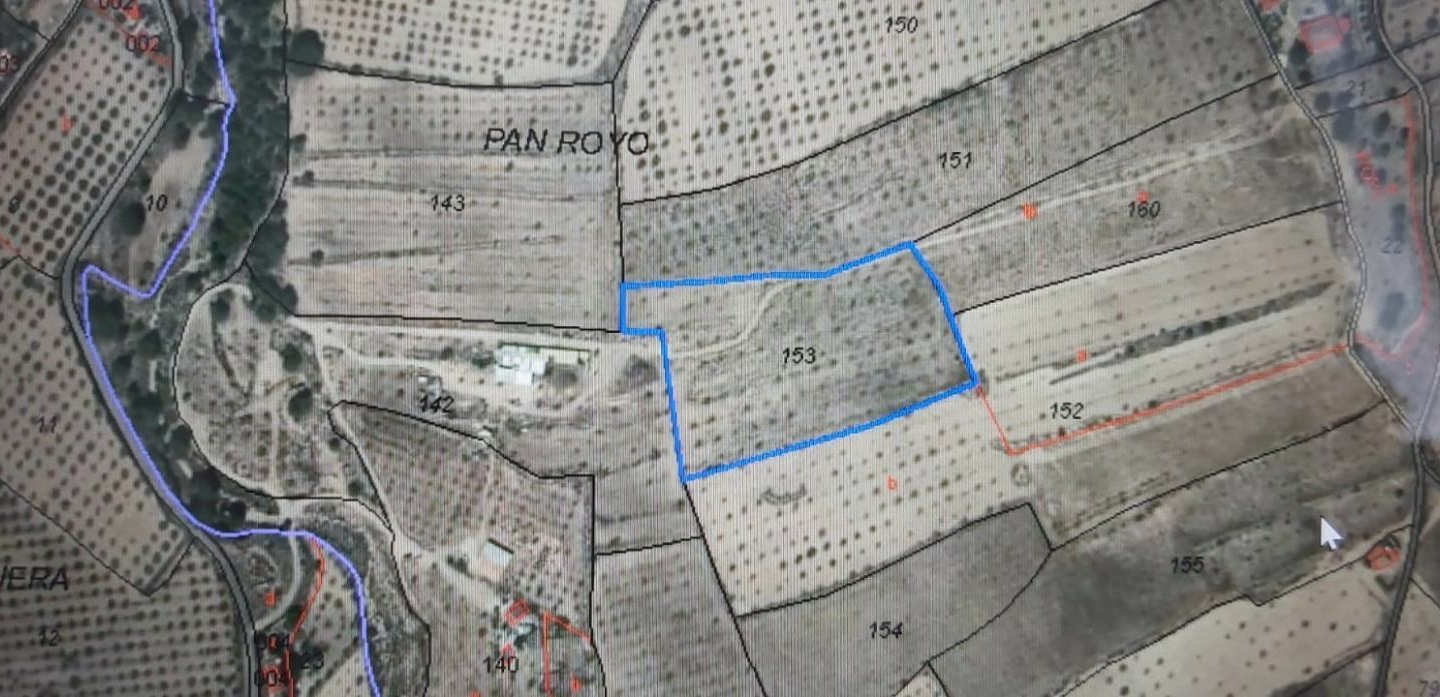 Land In Salinas, Spain (11.035 M² Plot)