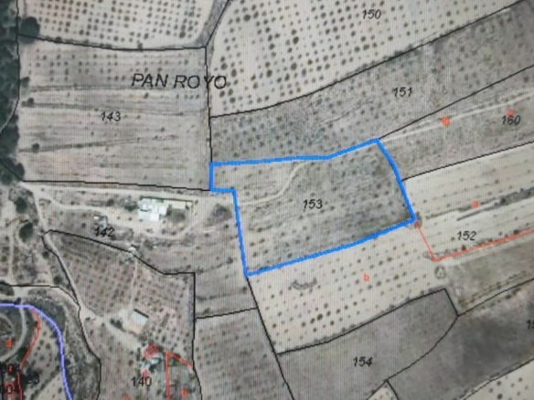 Land In Salinas, Spain (11.035 M² Plot)
