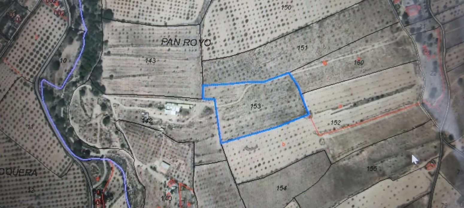 Land In Salinas, Spain (11.035 M² Plot)