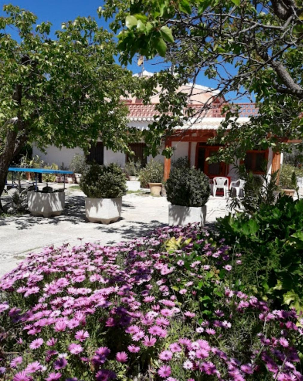 1-13-4d429e 7-bedroom Villa In Moratalla, Spain (318 M²)