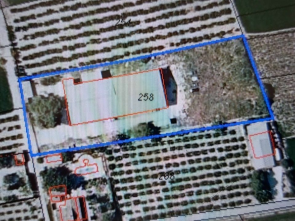 Industrial Unit In Dolores, Spain (1.016 M²)