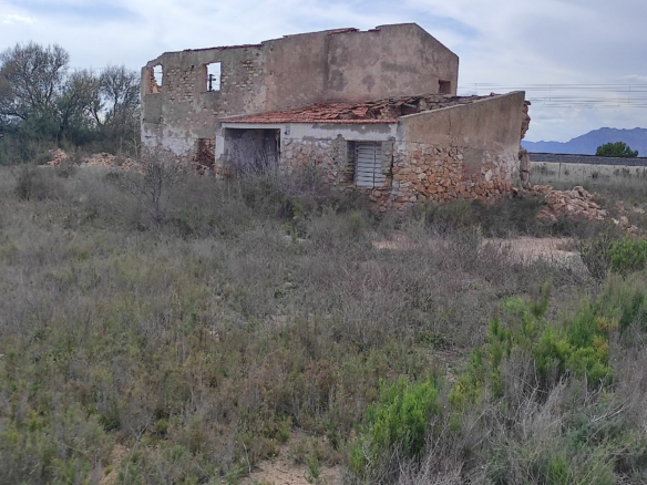 Land In Crevillent, Spain (30.120 M² Plot)