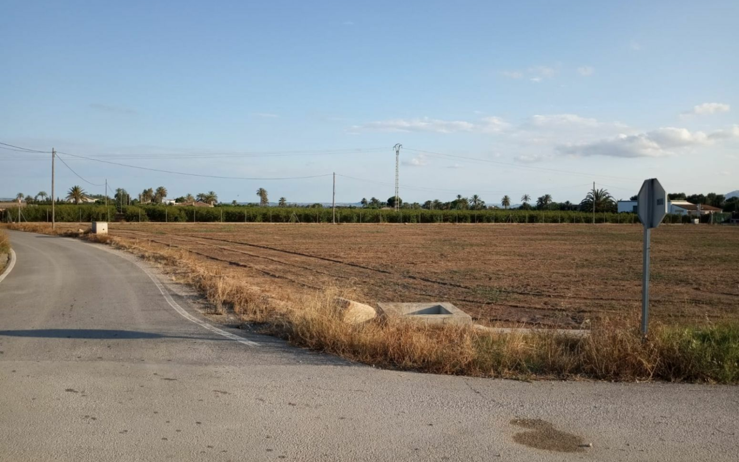Land In Elche, Spain (5.700 M² Plot)