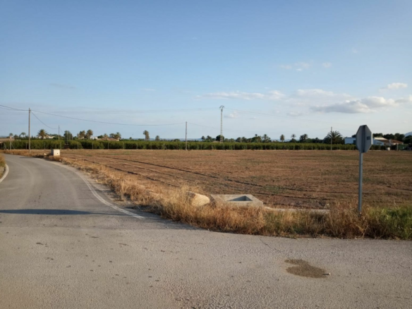 Land In Elche, Spain (5.700 M² Plot)