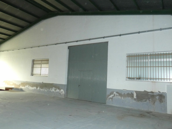 Industrial Unit In Dolores, Spain (1.016 M²)