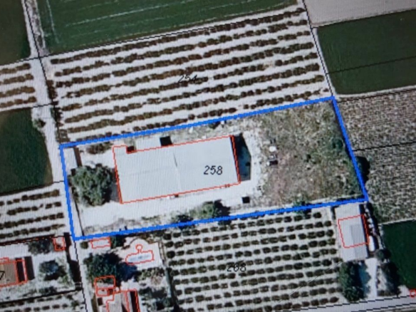 Industrial Unit In Dolores, Spain (1.016 M²)