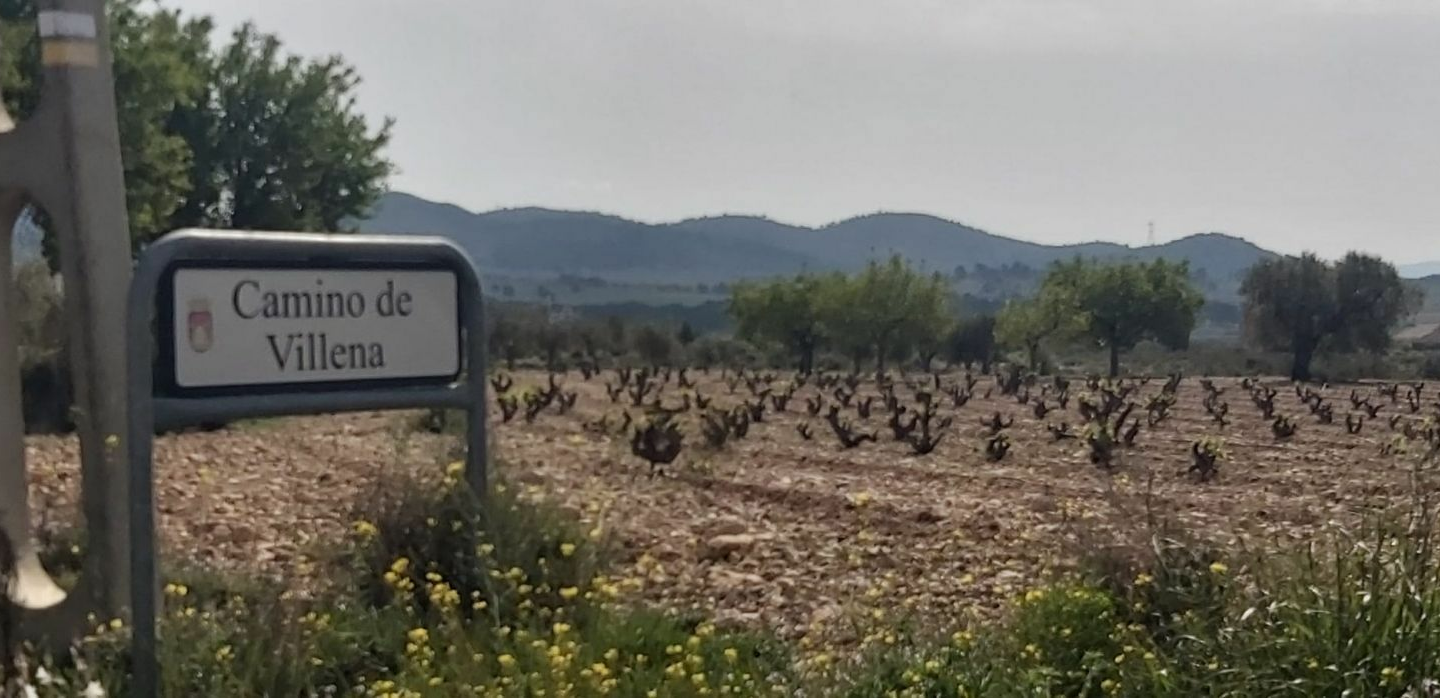Land In Salinas, Spain (11.035 M² Plot)