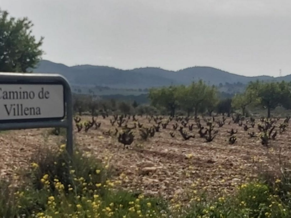 Land In Salinas, Spain (11.035 M² Plot)