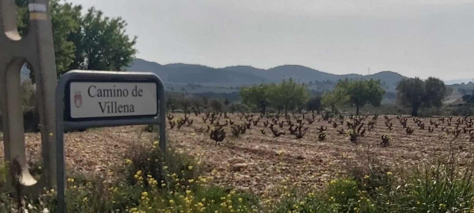 Land In Salinas, Spain (11.035 M² Plot)