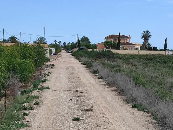 Land In Crevillent, Spain (30.120 M² Plot)