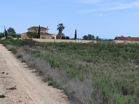 Land In Crevillent, Spain (30.120 M² Plot)