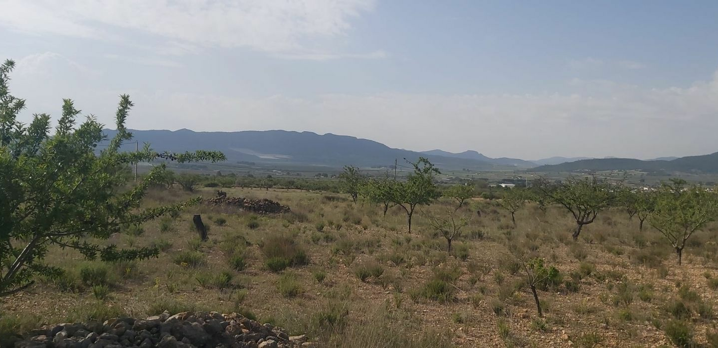 Land In Salinas, Spain (11.035 M² Plot)