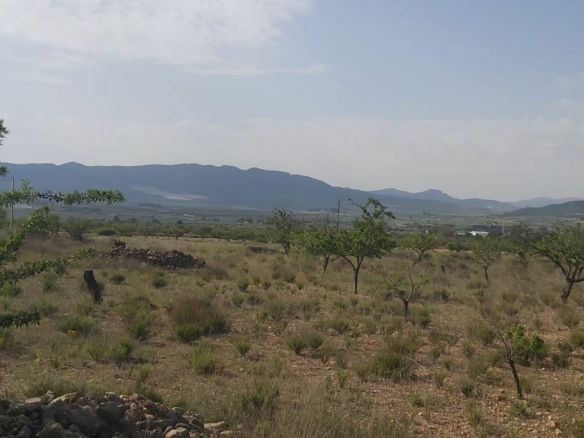 Land In Salinas, Spain (11.035 M² Plot)