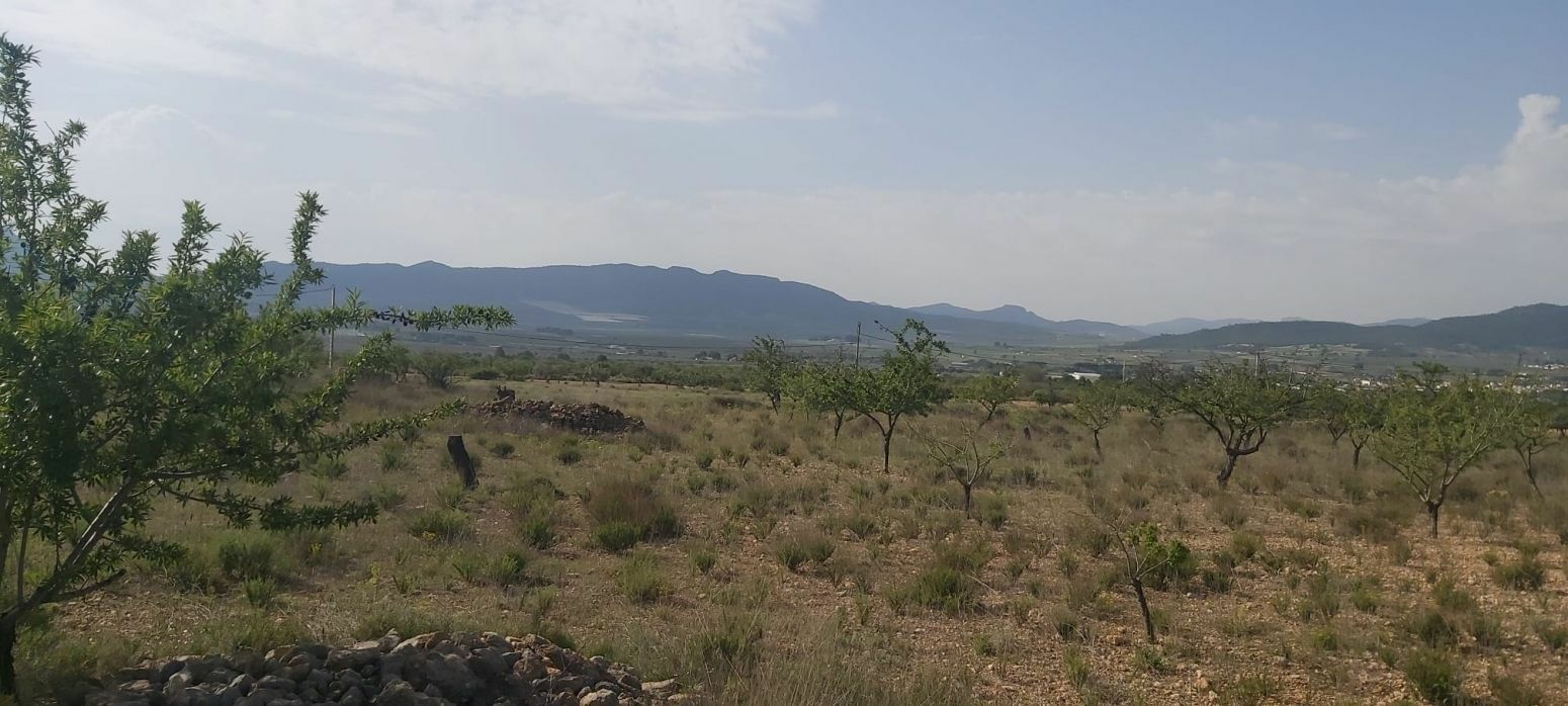 Land In Salinas, Spain (11.035 M² Plot)