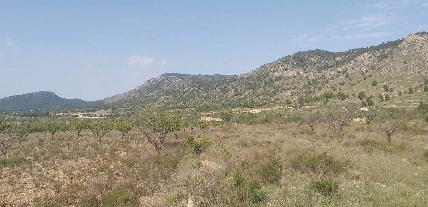 Land In Salinas, Spain (11.035 M² Plot)
