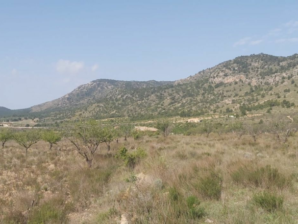 Land In Salinas, Spain (11.035 M² Plot)