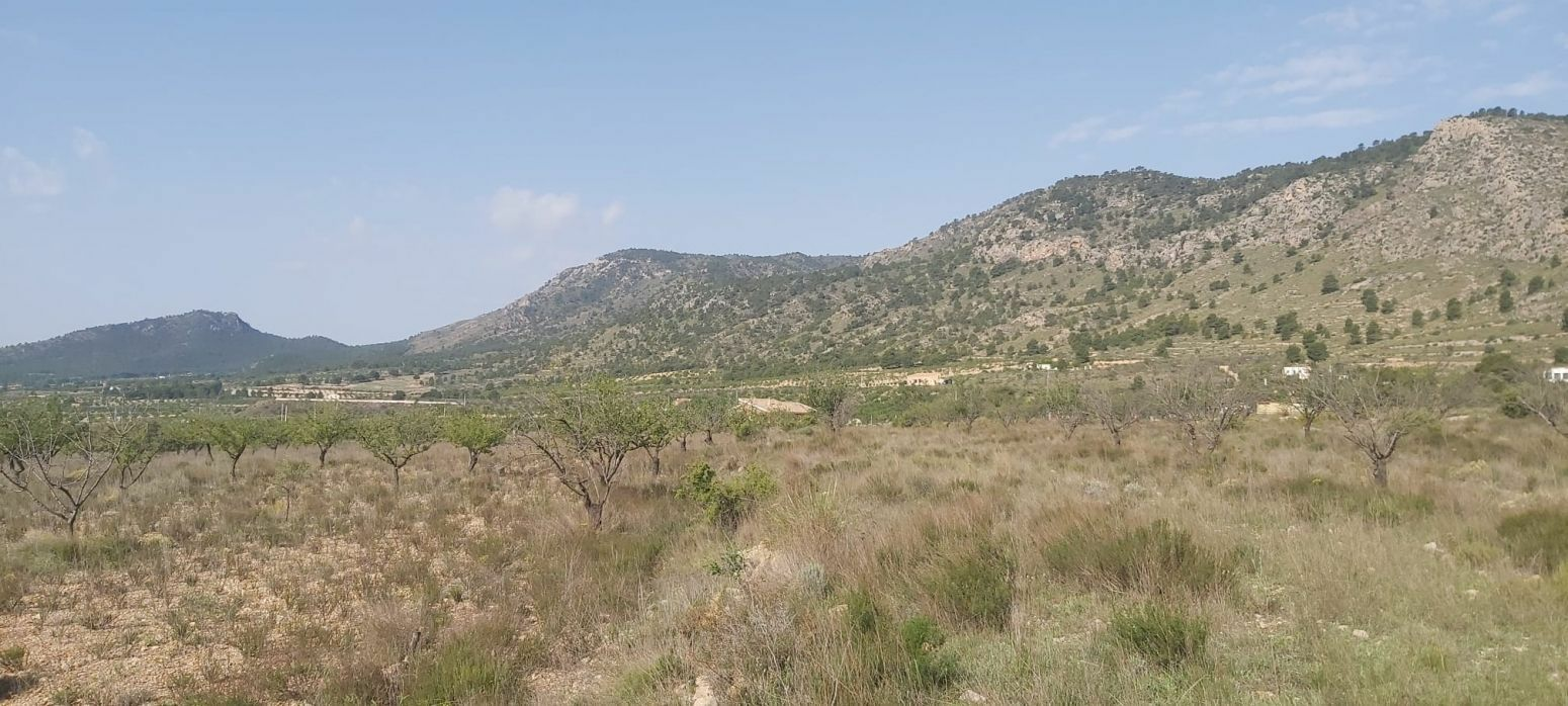 Land In Salinas, Spain (11.035 M² Plot)