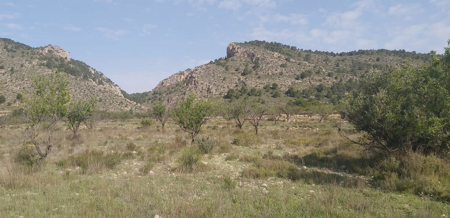 Land In Salinas, Spain (11.035 M² Plot)