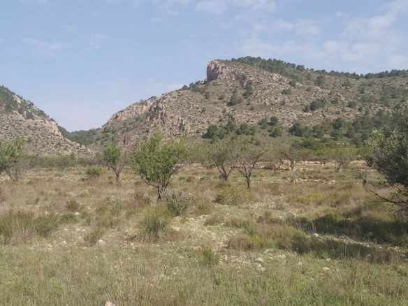Land In Salinas, Spain (11.035 M² Plot)