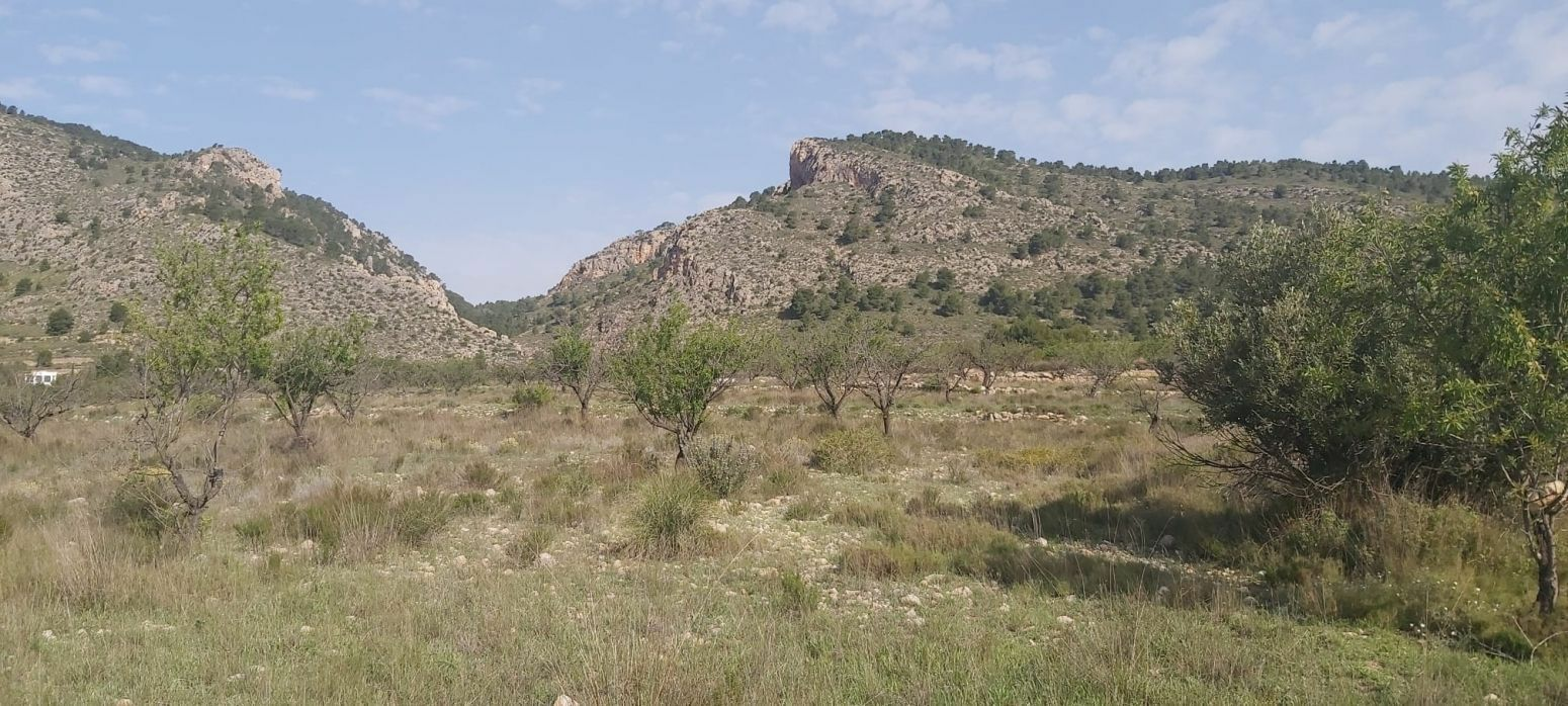 Land In Salinas, Spain (11.035 M² Plot)