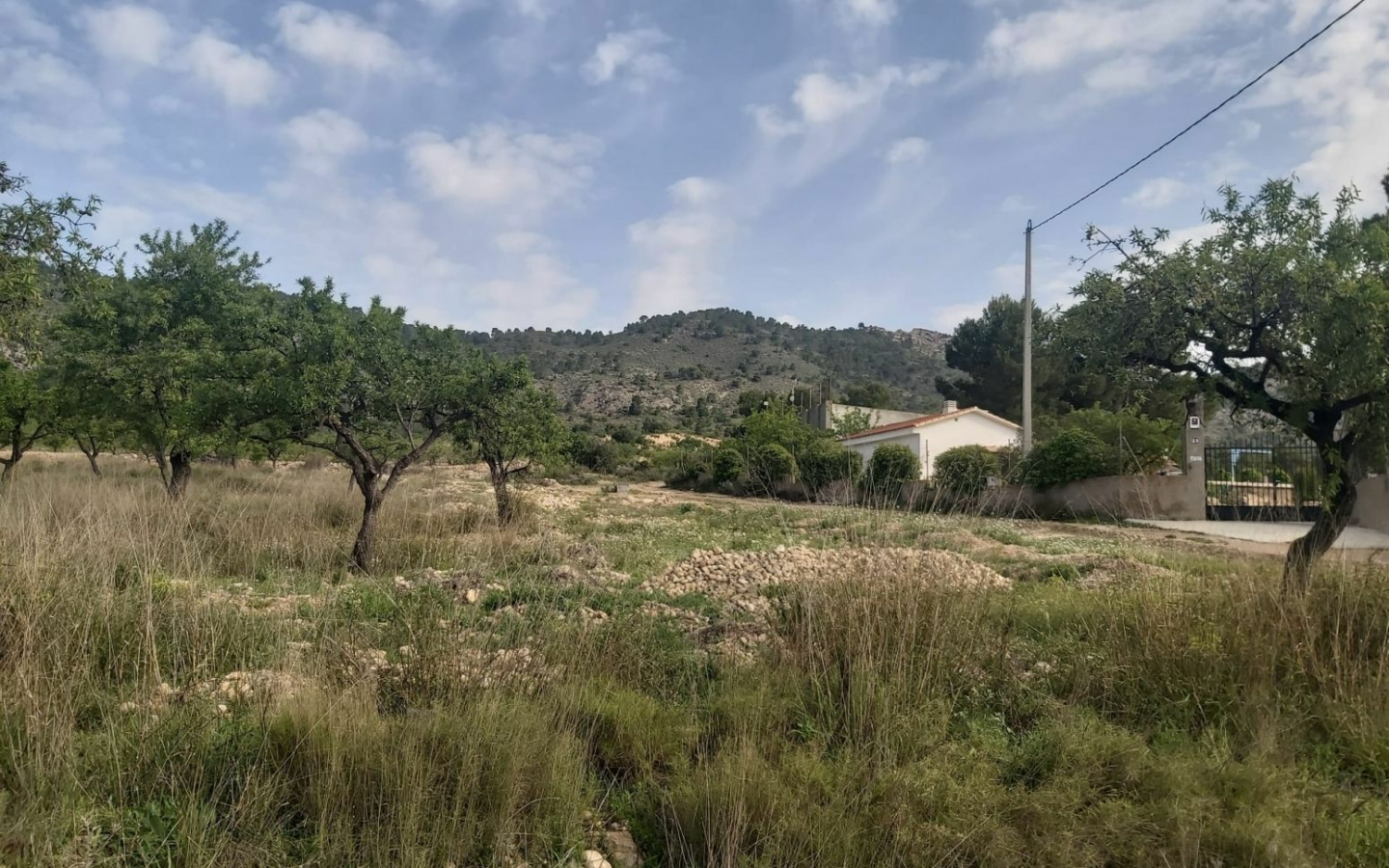 Land In Salinas, Spain (11.035 M² Plot)