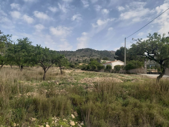 Land In Salinas, Spain (11.035 M² Plot)