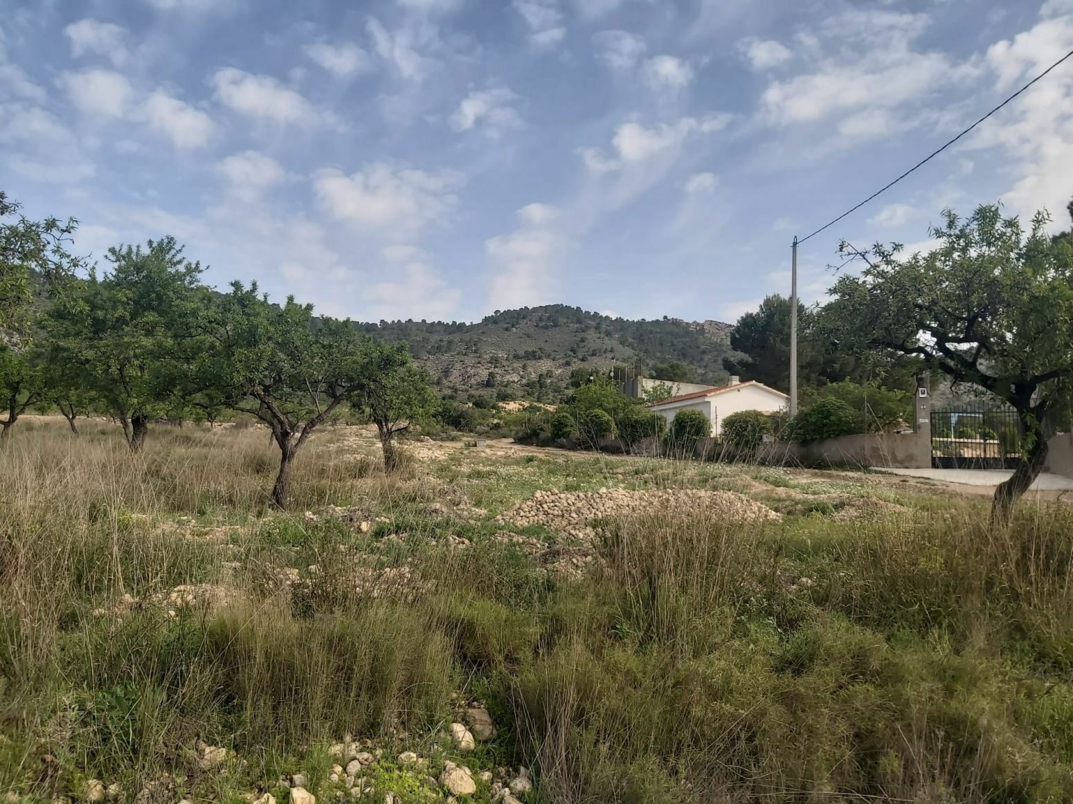 Land In Salinas, Spain (11.035 M² Plot)